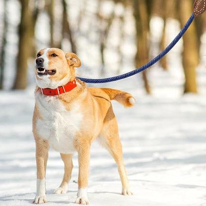 Mile High Life Rope Leash with Genuine Leather Connection, 6 FT/5 FT/4 FT, Heavy Duty Leash for Medium & Large Dogs (Blue, 72 Inch)