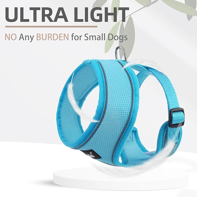 PUPTECK Soft Mesh Dog Harness and Leash Set Pet Puppy Cat Comfort Padded Vest No Pull Harnesses, Solid LightBlue, M