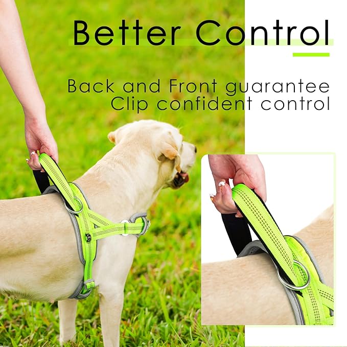 ADVENTUREMORE Medium Dog Harness - No Pull, Adjustable Reflective Vest with Front Clip Handle for Training & Walking - M Green