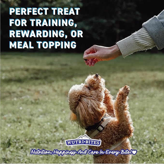 Nutri Bites Freeze Dried Chicken Liver Dog & Cat Treats, Single Ingredient High Protein Pet Treats, 15 oz