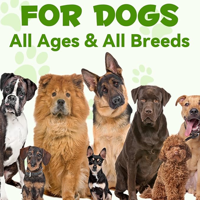 Oimmal Probiotics for Dogs, 3 in 1 Dog Probiotic and Digestive Enzymes for Pet, Supports Gut Health, Itchy Skin, Allergies, Immunity, Liquid Probiotics for for All Ages and Breeds Dogs, blue