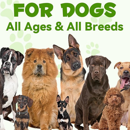 Oimmal Probiotics for Dogs, 3 in 1 Dog Probiotic and Digestive Enzymes for Pet, Supports Gut Health, Itchy Skin, Allergies, Immunity, Liquid Probiotics for for All Ages and Breeds Dogs, blue