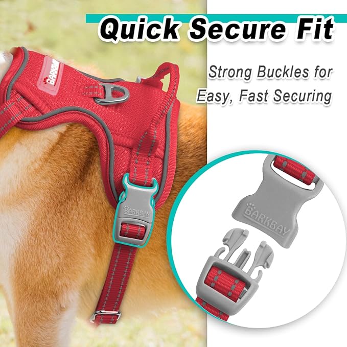 BARKBAY Dog Harness No Pull Mesh for Small Dogs - Adjustable, Reflective, Comfortable, No Choke, Heavy-Duty - Perfect for Outdoor Training, Walking, and Hiking - Strong & Durable - XS & Red Mesh
