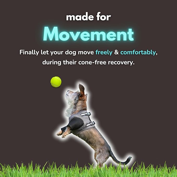 Dog Cone Alternative - Leg Sleeve to Stop Licking, Hot Spot Recovery, Wound & Elbow Protector, Hygroma Treatment, Reduce Stress & Anxiety, Waterproof & Breathable, Post-Surgery Suit (X-Small)