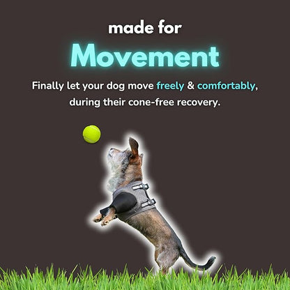 Dog Cone Alternative - Leg Sleeve to Stop Licking, Hot Spot Recovery, Wound & Elbow Protector, Hygroma Treatment, Reduce Stress & Anxiety, Waterproof & Breathable, Post-Surgery Suit (Small)