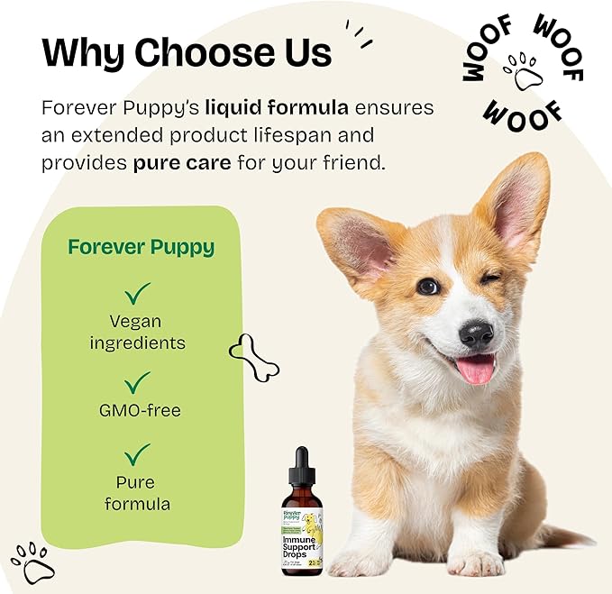 Immune Support for Dogs - Herbal Immune Drops for Dogs of Large Medium Small Breeds - Immune Health Support w/Echinacea, Elderberry & Mullein Leaf - Immunity Dog Food Supplements for Happy Pets 2 oz
