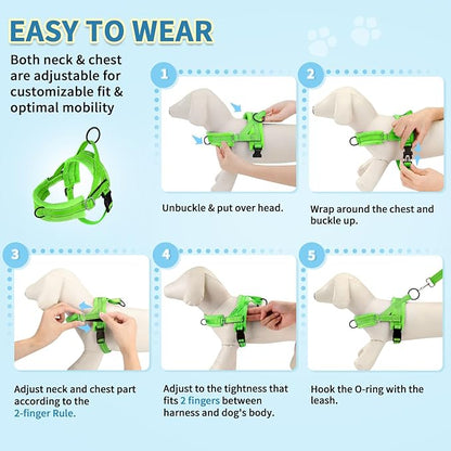 SlowTon No Pull Small Dog Harness and Leash Set, Puppy Soft Vest Harness Neck & Chest Adjustable, Reflective Lightweight Harness & Anti-Twist Pet Lead Combo for Small Medium Dogs (Green-Front Clip,XS)