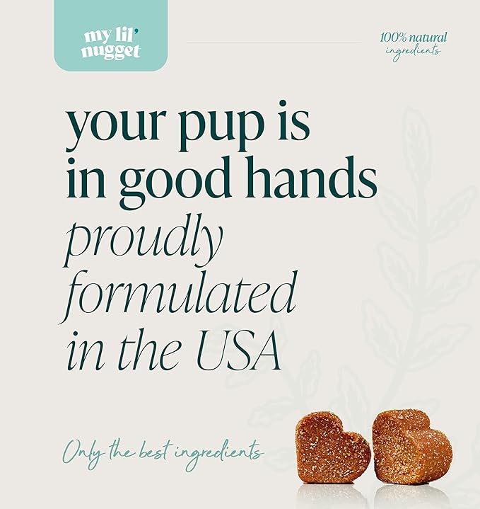 My Lil’ Nugget - Vet-Approved Mood & Cognition Chews for Dogs | All-Natural Dog Mental Health Support & Improve Memory | Lion’s Mane & Ashwagandha | Helps Puppy to Senior Dogs | 90 Salmon Flavor Chews