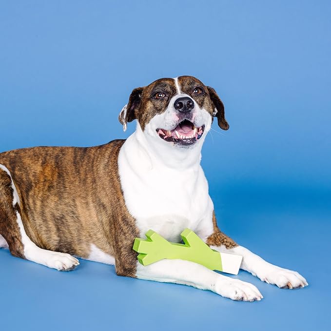 Fringe Studio Stick with ME Lime/White Rubber Dog Toy, Pet Shop Collection (518034)