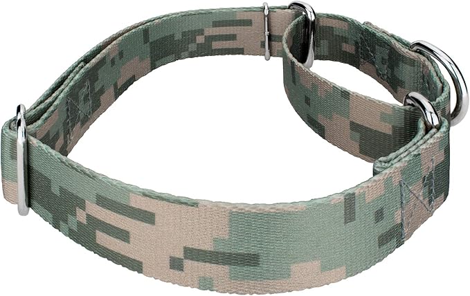 Country Brook Petz - Digital Camo Martingale Dog Collar and Leash Limited Edition - Camouflage Collection Featuring Rugged Designs (1/2 Inch, 2XS)