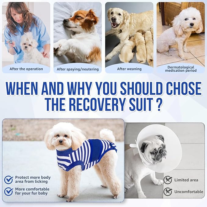Lukovee Recovery Suit for Dogs, Zipper On Recovery Suit for Female Male Dog, Onesie Abdominal Wounds Cone E-Collar Alternative Prevent Licking Spay Recovery Suit (L, 1BL)