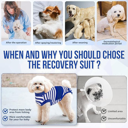 Lukovee Recovery Suit for Dogs - Zipper Onesie for Female & Male Dogs, Abdominal Wounds Cone E-Collar Alternative, Prevent Licking - Spay Recovery Suit (Small, Blue & White)