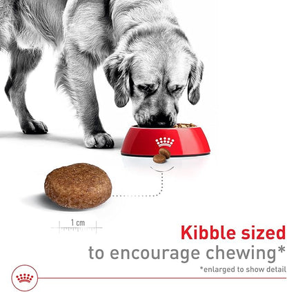 Royal Canin Size Health Nutrition Large 5+ Mature Dry Dog Food, 30 lb Bag