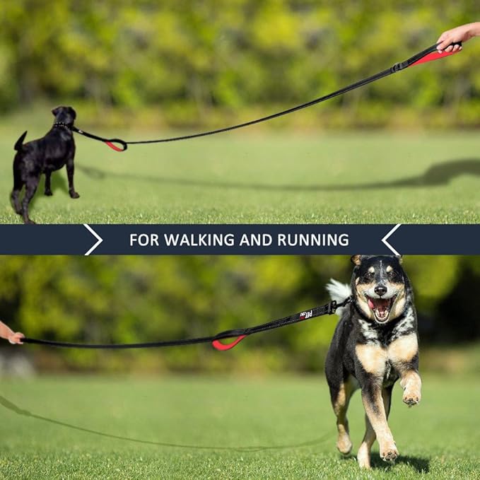 Plutus Pet Double Handle Dog Leash 4ft, Heavy Duty, Reflective Dual Handle Dog Leash for Safety Training, for Medium Large Dogs,2 Handle Leads(Black)