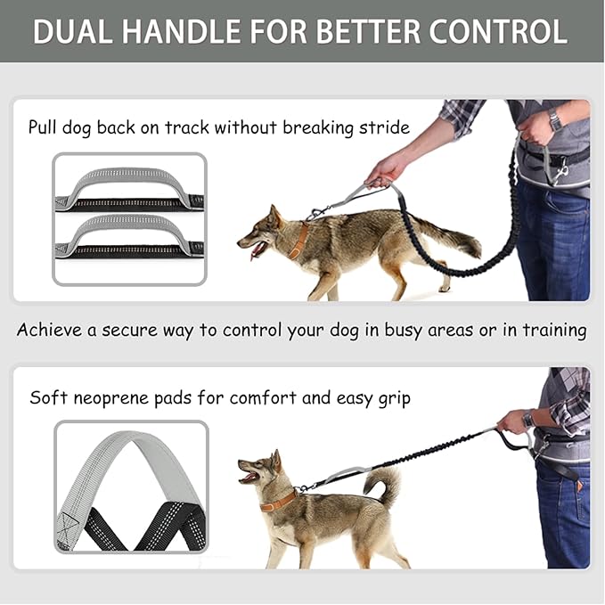 LANNEY Hands Free Dog Leash, Waist Running Leash with Zipper, Walking Pouch for Medium Large Dogs, Dual Handle and Retractable Bungee for Training Jogging Hiking(25-120 lbs, Grey)