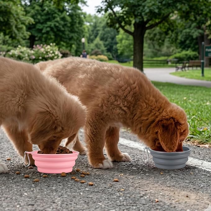 Kytely Collapsible Dog Bowls for Travel, 2Pack Dog Portable Water Bowl, Foldable Pet Food Bowl with Clasp, Pet Cat Feeding Cup Dish for Traveling, Walking, Hiking