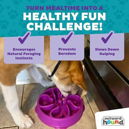 Outward Hound Fun Feeder Slo Bowl – Medium 2‑Cup Capacity,Slow Feeding,Small to Medium Dogs & Cats,Non-Slip,Purple,Flower Pattern,(Pack of 12)