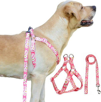 Harness and Leash Set, Floral Pattern, 5ft Matching Leash, No Pull, Easy Wear for Small Dogs.(S, Pink Daisy)