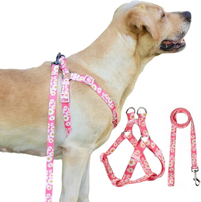 Harness and Leash Set, Floral Pattern, 5ft Matching Leash, No Pull, Easy Wear for Medium Dogs.(M, Pink Daisy)