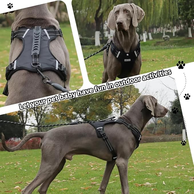 Dog Harness No Pull Adjustable Reflective,for Medium and Large Small Dog with Leash 59.06in (Black, XL)