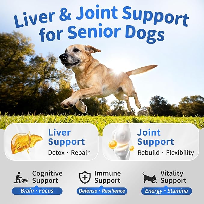 Senior Dog Liver & Joint Supplement – Same, Milk Thistle (Silybin), Glucosamine, MSM for Liver Health Detox, Mobility, Joint Pain Relief, Cognitive & Vitality Support, Chicken Flavor, 90Ct