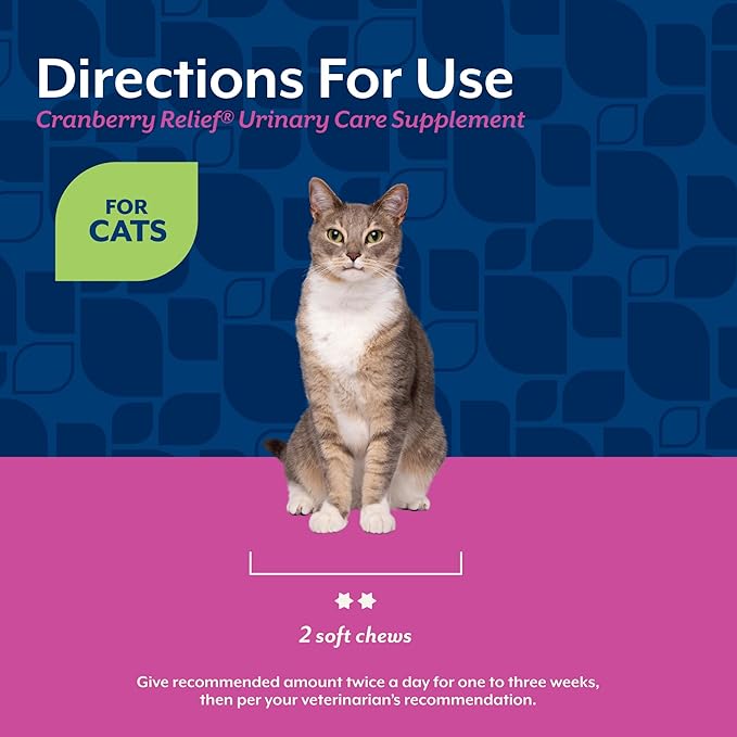 NaturVet Cranberry Relief Plus Echinacea for Cats, 60 ct Soft Chews, Made in The USA with Globally Source Ingredients