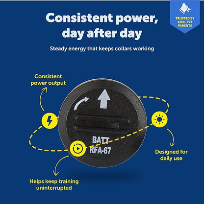 PetSafe RFA-67 6V Replacement Battery 2-Pack - Reliable Lithium Cell Batteries - Waterproof & Weather Ready Replacement Power Source for Compatible Fences & Collars