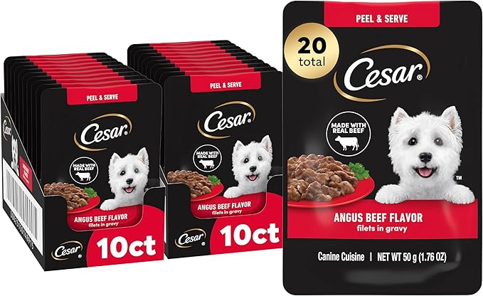 Cesar Filets in Gravy Wet Dog Food, Angus Beef Flavor, 1.76 oz. Mini-Pouch, 20 Count