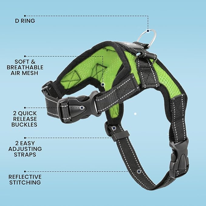 No Pull Reflective Adjustable Dog Harness with Handle- Comfortable Soft All Weather Mesh, Easy On Puppy Harness for Small Medium and Large Dogs (Green) Large