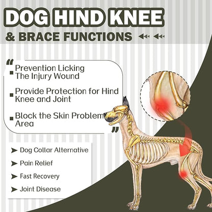 ROZKITCH Dog Leg Surgery Recovery Suit Rear Legs, Pet Sleeve to Prevent Licking Wound Elbow Protector, Dog Recovery Suit Cone Collar Alternative for Sprain ACL CCL Arthritis Joint Care Green XL
