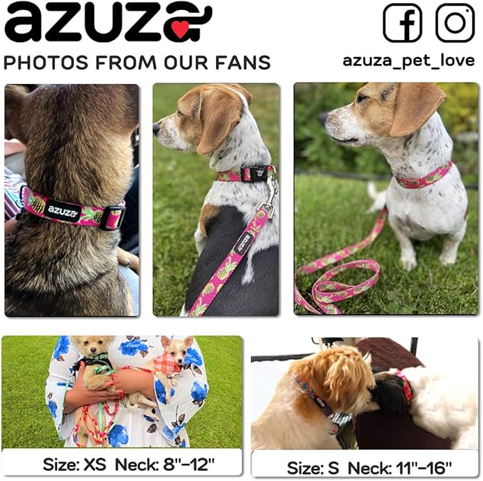 azuza Dog Collar and Leash Set, Pineapple Patterns on Nylon Collar and Matching Leash, Great Option for Medium Dogs