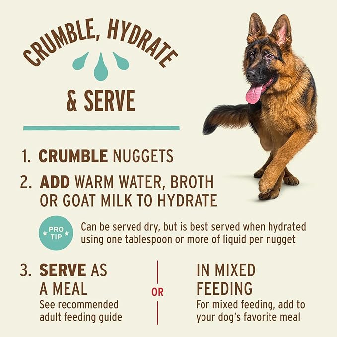 Primal Freeze Dried Raw Dog Food Nuggets, Duck, Complete & Balanced Meal, Also Use as Topper or Treat, Premium, Healthy, Grain Free, High Protein Raw Dog Food, 14 oz