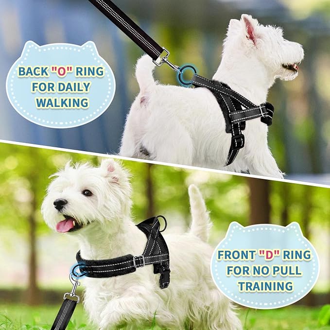 SlowTon No Pull Small Dog Harness and Leash Set, Puppy Soft Vest Harness Neck & Chest Adjustable, Reflective Lightweight Harness & Anti-Twist Pet Lead Combo for Small Medium Dogs(B,L)
