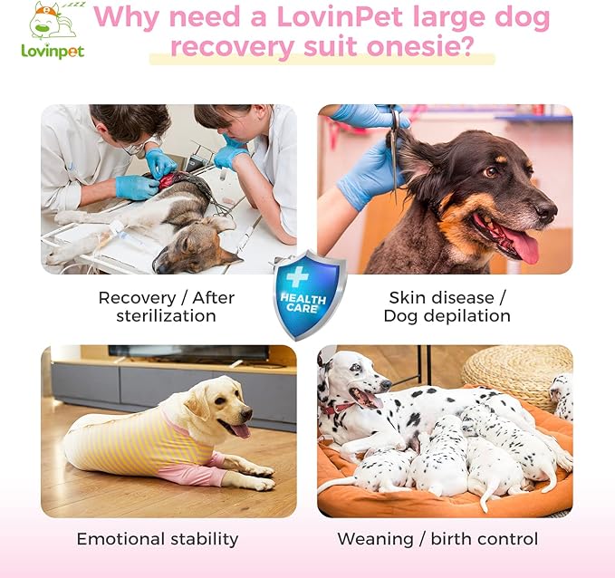 LovinPet Dog Recovery Suit for Large Medium Dogs - Full Coverage Dog's Bodysuit Wound Protective Surgical for Abdominal Wounds After Surgery Anti-Licking Cut-Out Design of Abdomen,Buttons,M
