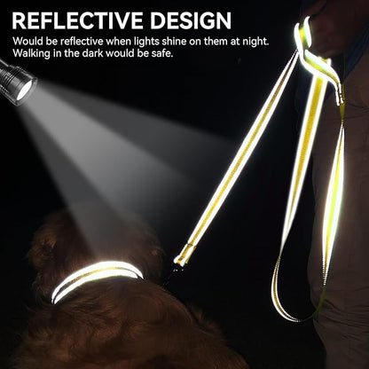 Joytale Dog Leash, 5 FT Double-Sided Reflective, Padded Handle Nylon Heavy Duty Leashes for Medium & Large Dogs Walking, Yellow