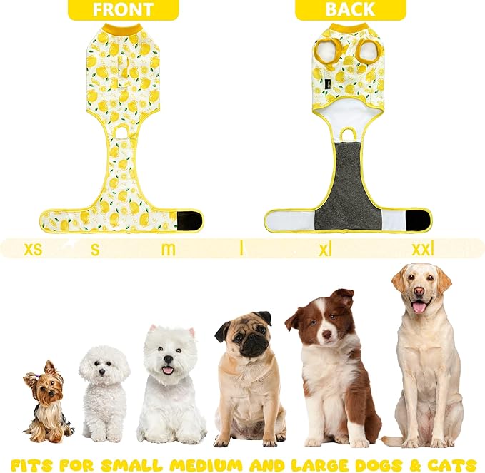 Dog Surgery Recovery Suit, Abdominal Surgical Suit for Male Female Dog Post Spay Neuter, Breathable Pet Onesie E-Collar & Cone Alternative, Surgery Shirt to Prevent Licking, Yellow, Medium