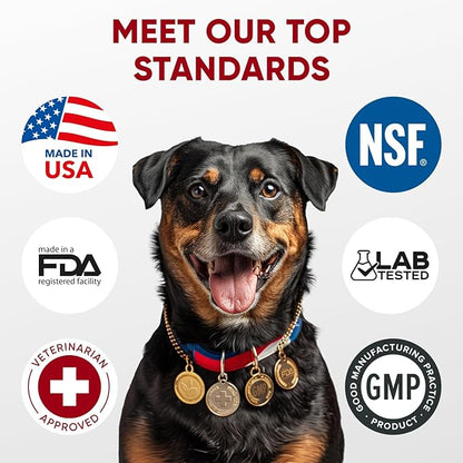 Probiotics for Dogs Digestive Health - Probiotic Chews for Gut Health, Itchy Skin Yeast, Diarrhea - USA Product - Immune Support Supplement - Dog Digestive Support & Allergy Relief Chews with Enzymes
