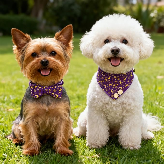 EXPAWLORER Dog Collar and Leash Set - Purple Star-Moon Dog Bow Tie and Dog Bandana Collar with Bell, Dog Leash Tangle Free, Adjustable Collars for Small Medium Large Dogs Cats, Holiday Ideal Gift, S