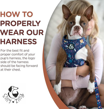 No Pull Harness and Leash Set - 6-in-1 Adjustable Vest Harness and Collars for Medium and Large Dogs. (Cosmic, Extra Small)