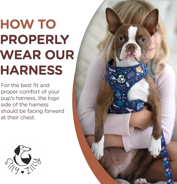 No Pull Harness and Leash Set - 6-in-1 Adjustable Vest Harness and Collars for Medium and Large Dogs. (Cosmic, Medium)