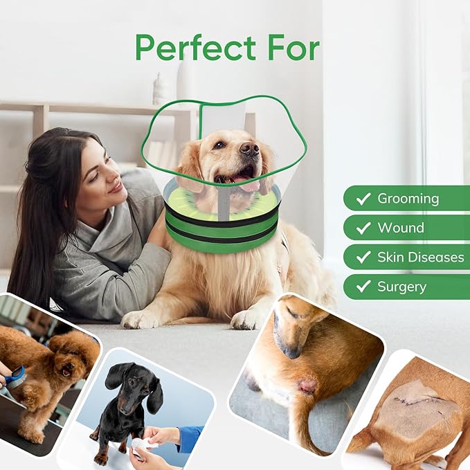 Sponge Dog Cone Collar, Dog Recovery Collar Alternative with Detachable High Clear Shield, Adjustable Soft Neck Cone for Small Medium Large Dogs, Stop Licking After Surgery (Kiwi,XL)