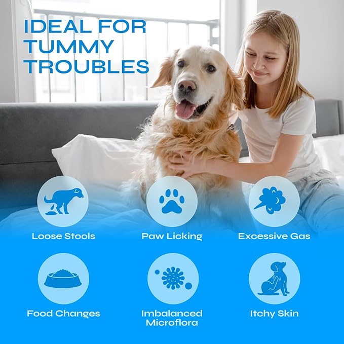 Dog Probiotics - 260 Billion CFU per Pack with Prebiotics, Digestive Enzymes, Pumpkin - Probiotics for Dogs for Digestive Health, Gut Support, Yeast Balance, Allergies Support, Itchy Skin - 130 Chews