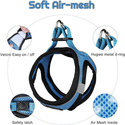 Dog Harness for Small Dogs and Leash Set, Honeycomb Grid, Reflective Lightweight Harness & Anti-Twist Pet Lead Multi Color, Size: XS-S-M. (M, Marine Blue)
