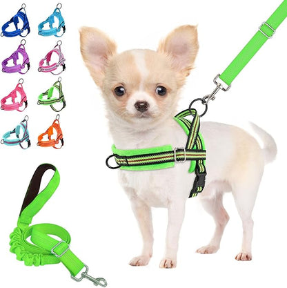 Lukovee No Pull Dog Harness and Leash Set, Soft Padded Small Dog Harness, Neck & Chest Adjustable Reflective Vest Puppy Harness with 4ft Lightweight Anti-Twist Dog Leash for Small Dogs (XXS, Green)