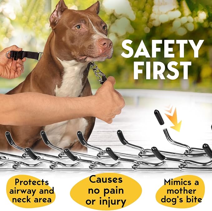 PetJett Prong Collar for Dogs - Adjustable Dog Training Collar No Pull Choke Collar for Dogs Pinch Collar for Dog Walking Tool for Small Medium, or Large Breed - Stainless Steel Metal Choker Chain