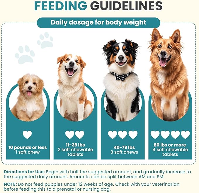 Probiotics for Dogs Gut Digestive Health Probiotic Chews for Dogs Digestive Enzymes Relieve Diarrhea Immunity Oral Problems Itching Constipation Prebiotics Dog Probiotics 200 Ct Chicken