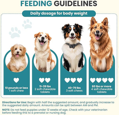 Probiotics for Dogs Gut Digestive Health Probiotic Chews for Dogs Digestive Enzymes Relieve Diarrhea Immunity Oral Problems Itching Constipation Prebiotics Dog Probiotics 200 Ct Chicken