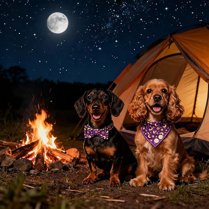 EXPAWLORER Dog Collar and Leash Set - Purple Star-Moon Dog Bow Tie and Dog Bandana Collar with Bell, Dog Leash Tangle Free, Adjustable Collars for Small Medium Large Dogs Cats, Holiday Ideal Gift, S