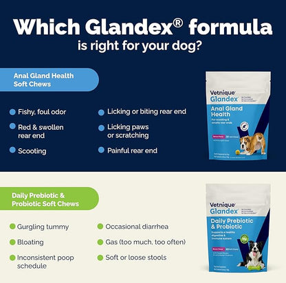 Vetnique Glandex Daily Probiotics for Dogs with Prebiotics to Support Gut Health, Diarrhea with Fiber and Digestive Enzymes, Dog Probiotic Chews or Powders (120ct Chews, Bacon Chews)
