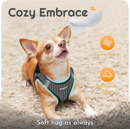 Eagloo Small Dog Harness and Leash Set, Step in Puppy Vest with Breathable Soft Mesh, Walking Reflective Pet Harness for Small Dogs, Gray, S